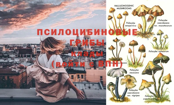 прущая мука Сосновоборск