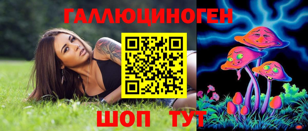 Псилоцибиновые грибы Psilocybine cubensis  Псилоцибиновые грибы MAGIC MUSHROOMS  Донской 