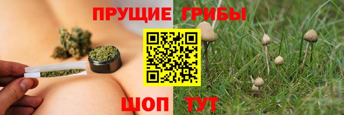 Галлюциногенные грибы ЛСД  Вход с VPN  Донской  Галлюциногенные грибы GOLDEN TEACHER 